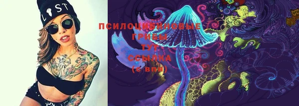 синтетический гашиш Нефтекумск